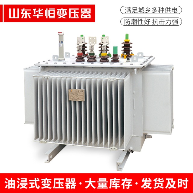 S13-10000/35敦煌敦煌敦煌电力变压器